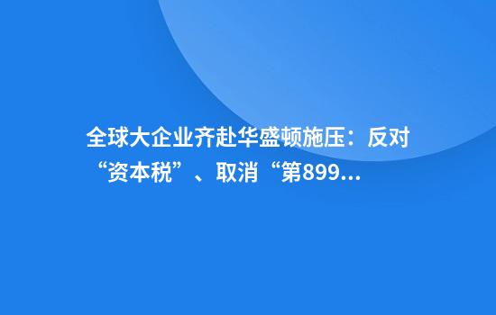 全球大企业齐赴华盛顿施压:反对“资本税”、取消“第899条款”