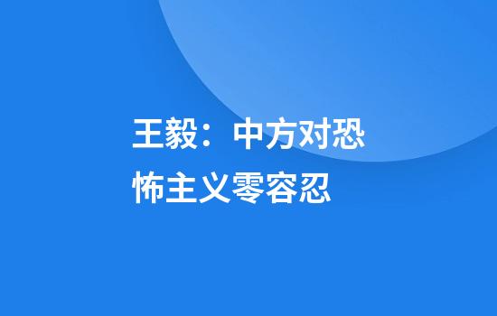王毅：中方对恐怖主义零容忍