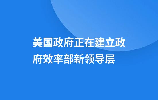 美国政府正在建立政府效率部新领导层