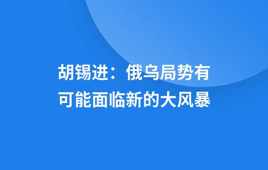 胡锡进:俄乌局势有可能面临新的大风暴