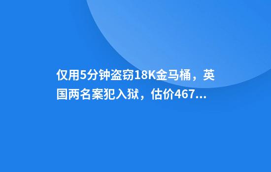 仅用5分钟盗窃18K金马桶,英国两名案犯入狱,估价4676万元人民币!