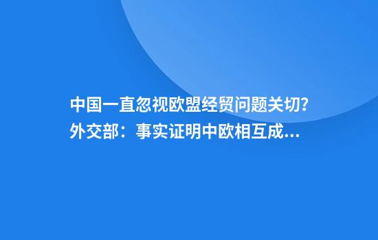 中国一直忽视欧盟经贸问题关切?外交部:事实证明中欧相互成就、共同发展