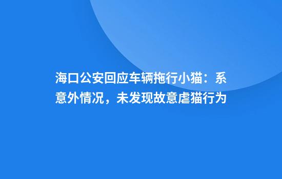 海口公安回应车辆拖行小猫:系意外情况,未发现故意虐猫行为