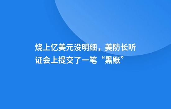 烧上亿美元没明细，美防长听证会上提交了一笔“黑账”