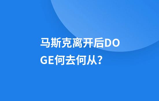 马斯克离开后DOGE何去何从?