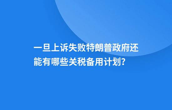 一旦上诉失败特朗普政府还能有哪些关税备用计划?