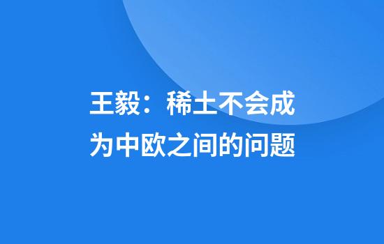 王毅:稀土不会成为中欧之间的问题