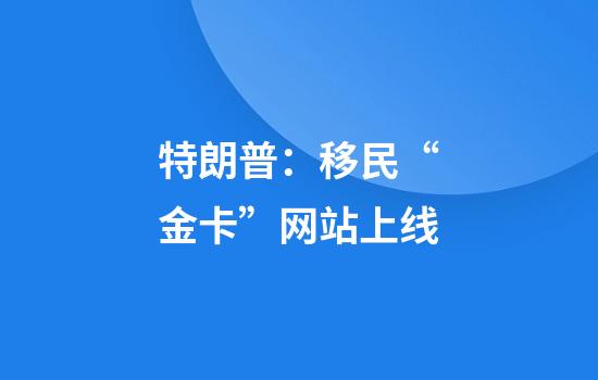 特朗普:移民“金卡”网站上线