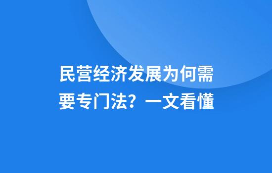 民营经济发展为何需要专门法?一文看懂