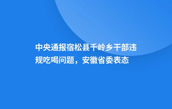 中央通报宿松县千岭乡干部违规吃喝问题,安徽省委表态