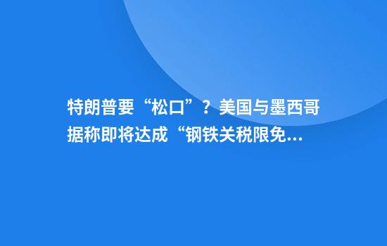 特朗普要“松口”?美国与墨西哥据称即将达成“钢铁关税限免”协议
