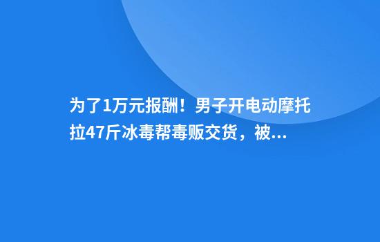 为了1万元报酬!男子开电动摩托拉47斤冰毒帮毒贩交货,被判无期