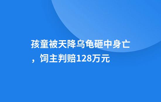 孩童被天降乌龟砸中身亡,饲主判赔128万元
