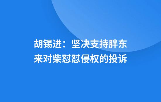 胡锡进:坚决支持胖东来对柴怼怼侵权的投诉