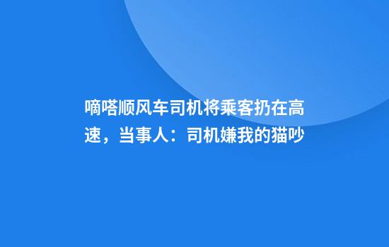 嘀嗒顺风车司机将乘客扔在高速,当事人:司机嫌我的猫吵