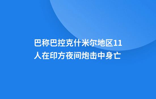 巴称巴控克什米尔地区11人在印方夜间炮击中身亡